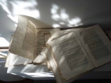 web-15-September-2013-Books-in-Autmn-light-copy