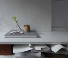 web-24-January-2017-12.31pm-Hellebore-with-books-and-John-Leach-jug-copy_edited-1